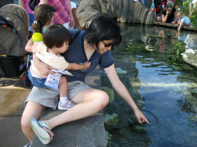 Touch Tank