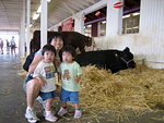 In Front of a Cow