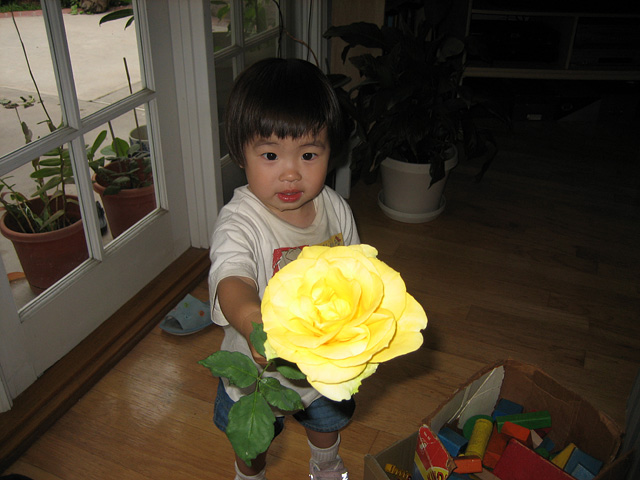 Eleanor with the Rose