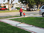 Agnes and Eleanor Taking a Walk