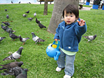 Miranda with Pigeons