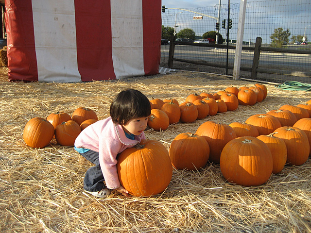 Lifting Pumpkins