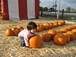 Lifting Pumpkins