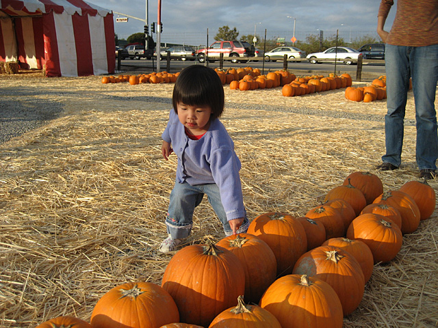 Touching Pumpkins