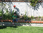 Eating Cookies in the Backyard