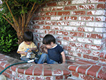 Playing in the Planter