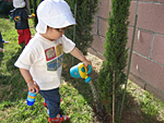 Eleanor Watering a Cypress