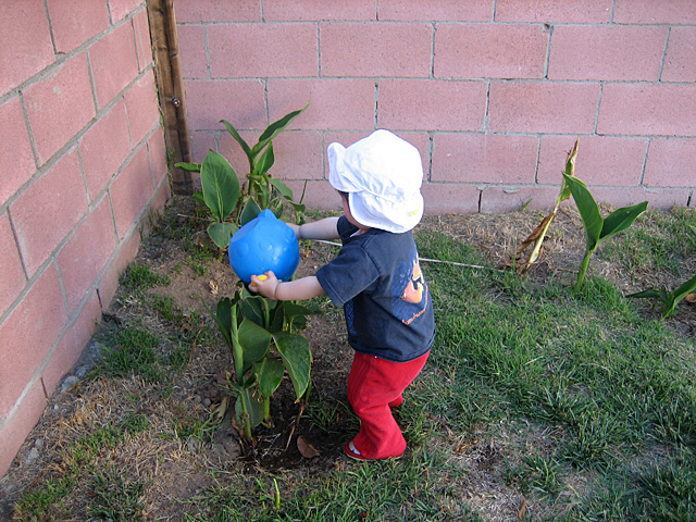 Emptying the Watering Can