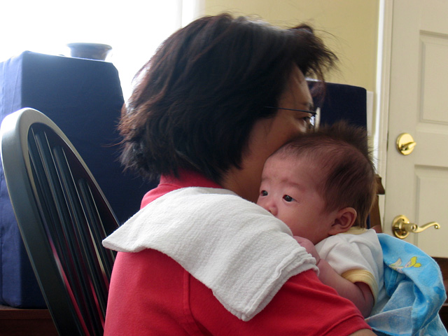 Peeking Over Grandmother's Shoulder