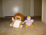 Lion and Duck