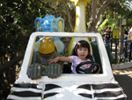 Driving at the Zoo