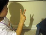 Miranda's Shadow Puppet