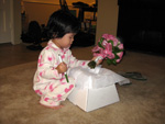 Miranda Examining the Bouquet