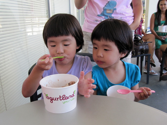 Yogurtland