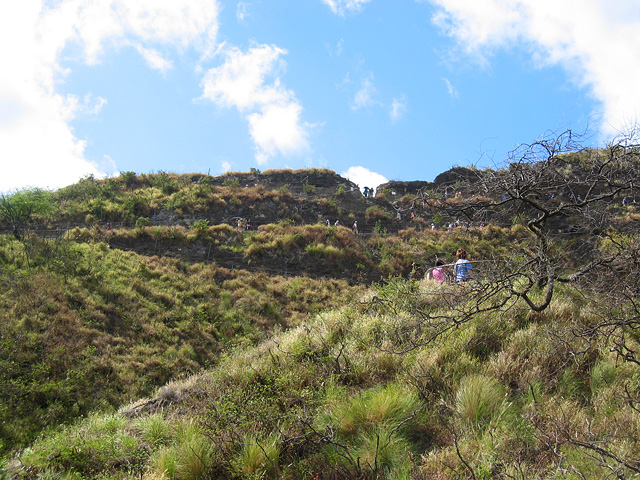 Diamondhead