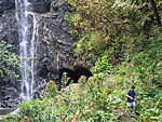 returning from wailua falls