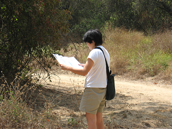 agnes plans our route