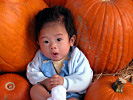 jared and some pumpkins