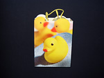 A Gift Card in a Duck Bag