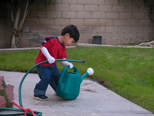 Gardening